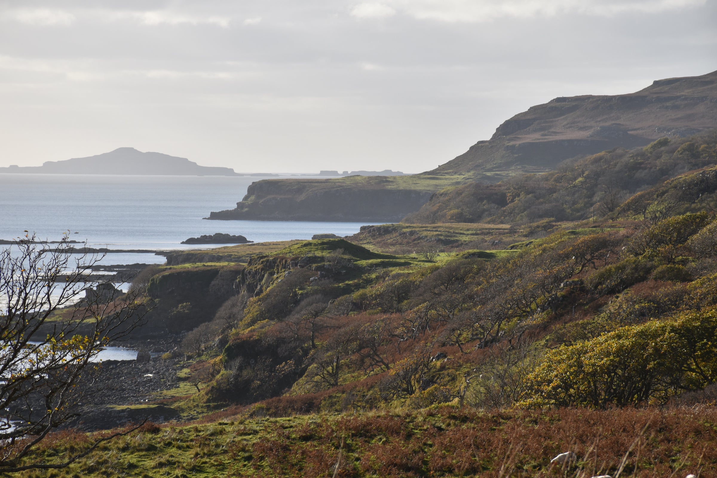 Scotland