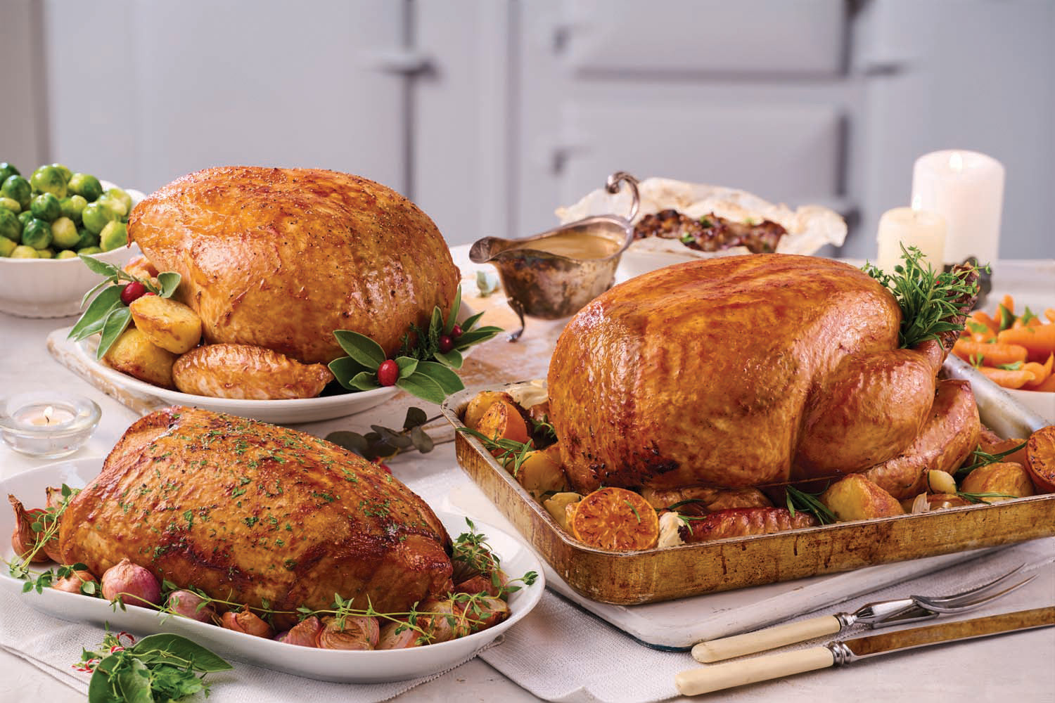 Turkey & Goose