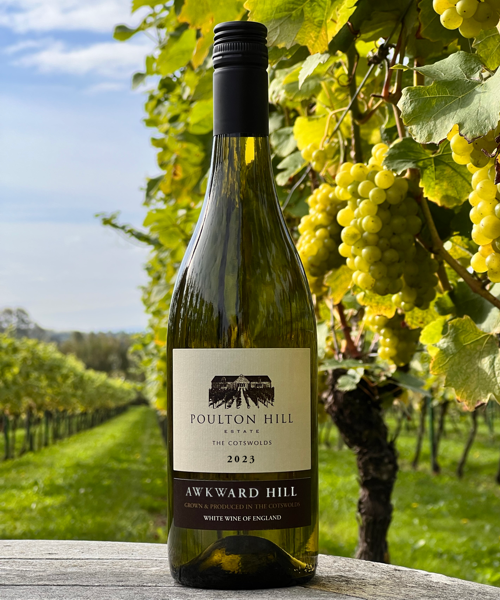 Awkward Hill White 2023 - Case of 6