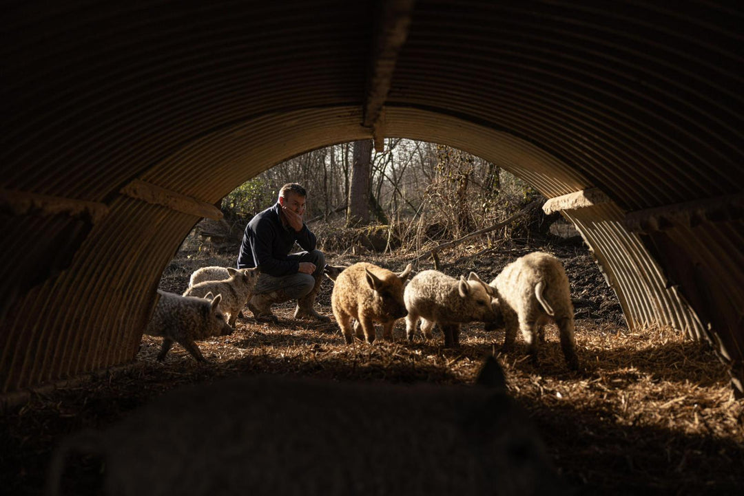 Producer spotlight: introducing Beal's Farm Charcuterie