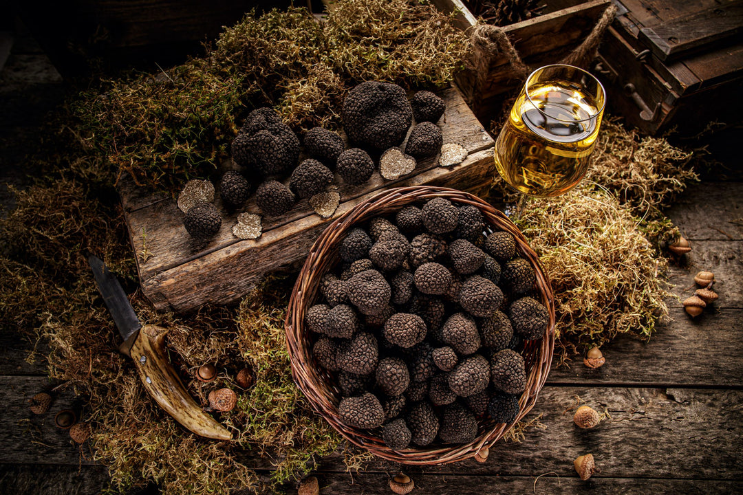 Fresh Black Truffle from Shropshire