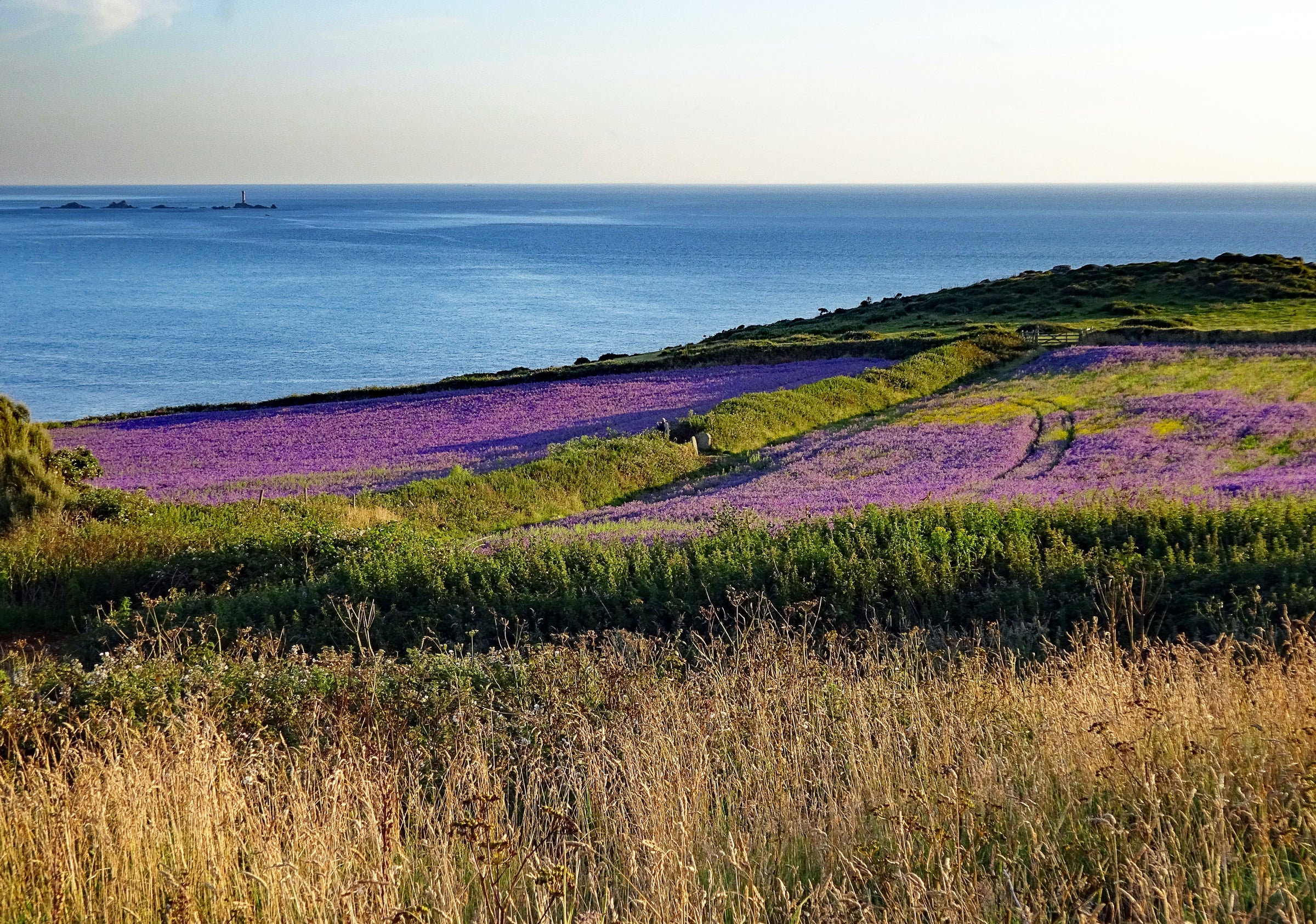 Devon & Cornwall