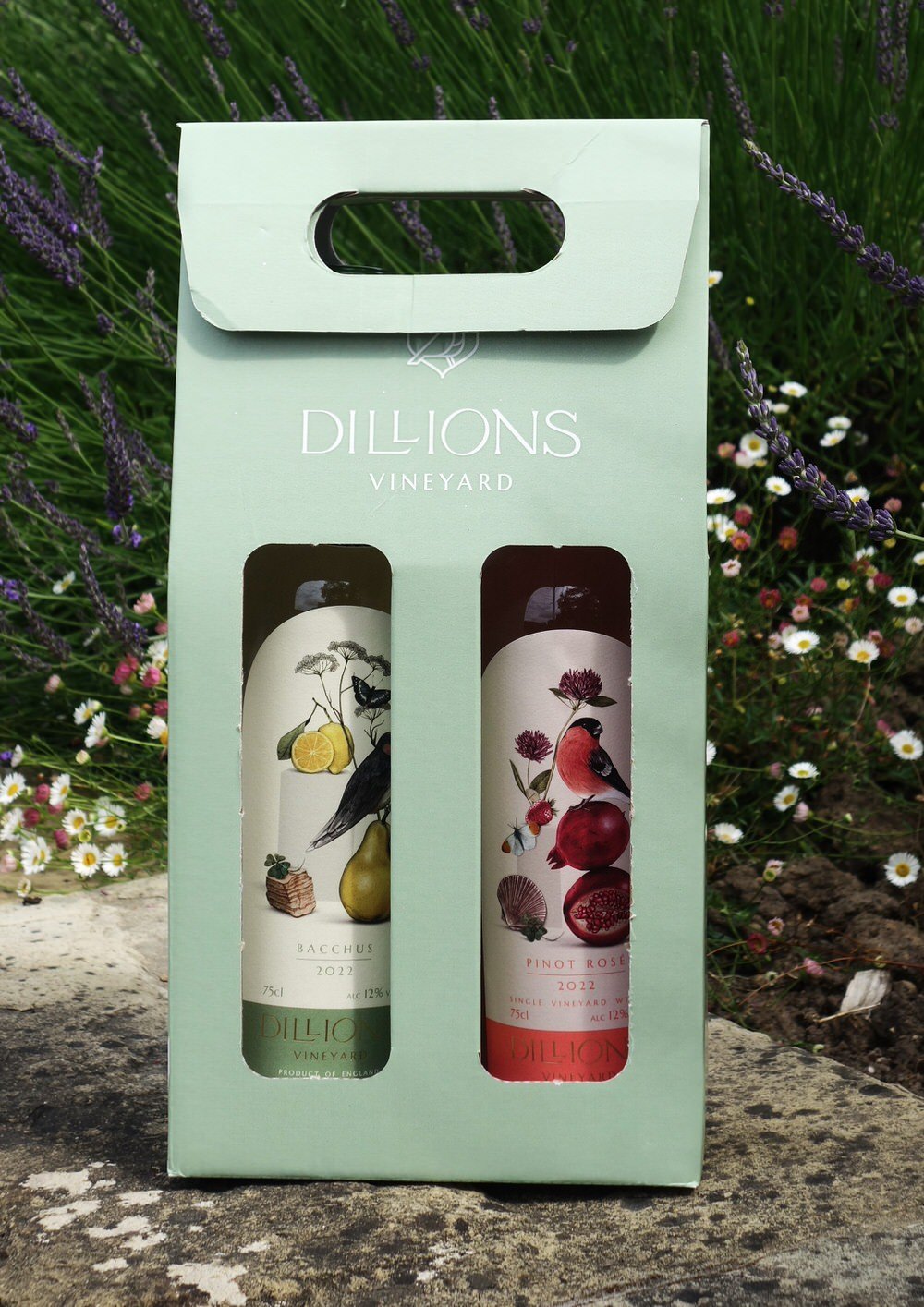 Dillions Wine Duo Gift Box