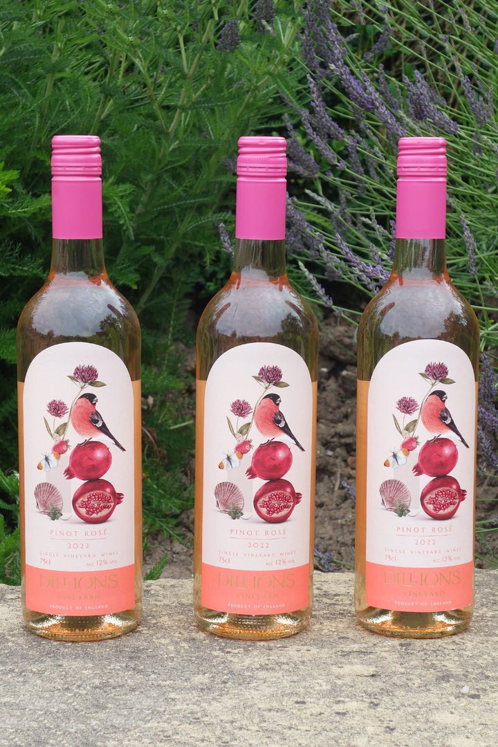 Dillions Pinot Rosé 2022