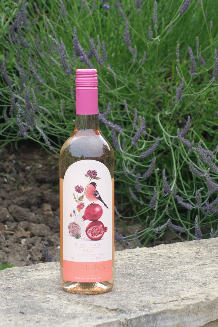 Dillions Pinot Rosé 2022