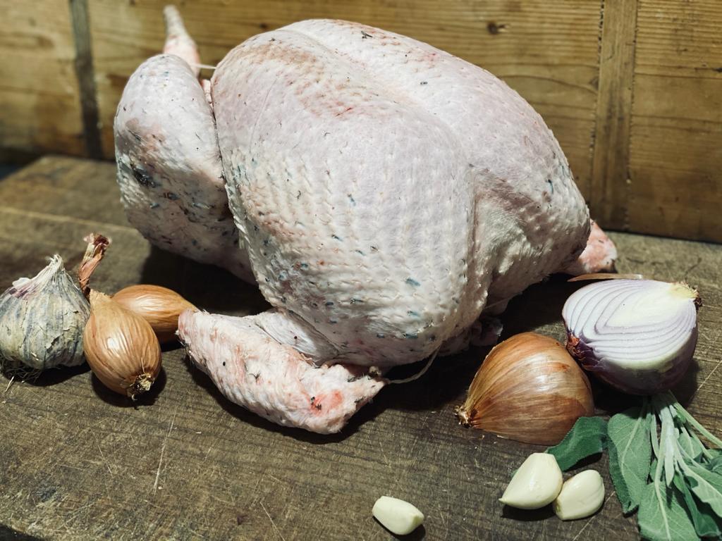 Whole Bronze Free Range Turkey (Christmas Pre-Order)