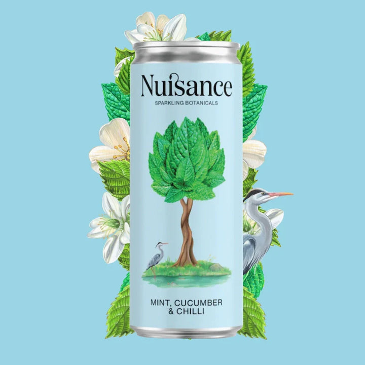 Mint, Cucumber & Chilli Soda