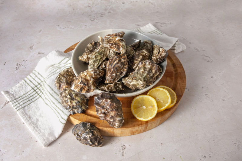 British Oysters x 12