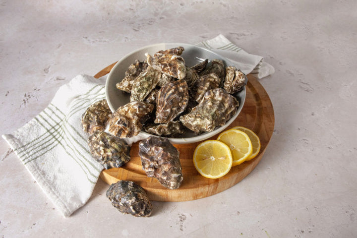 British Oysters x 12