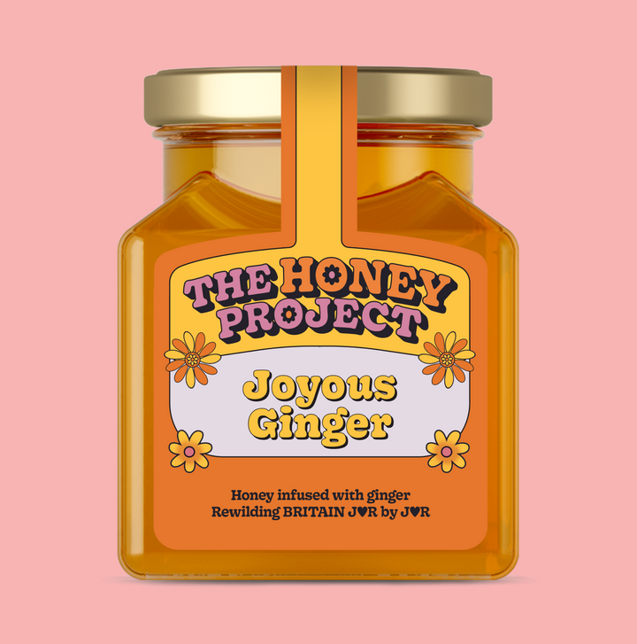 Joyous Ginger Honey