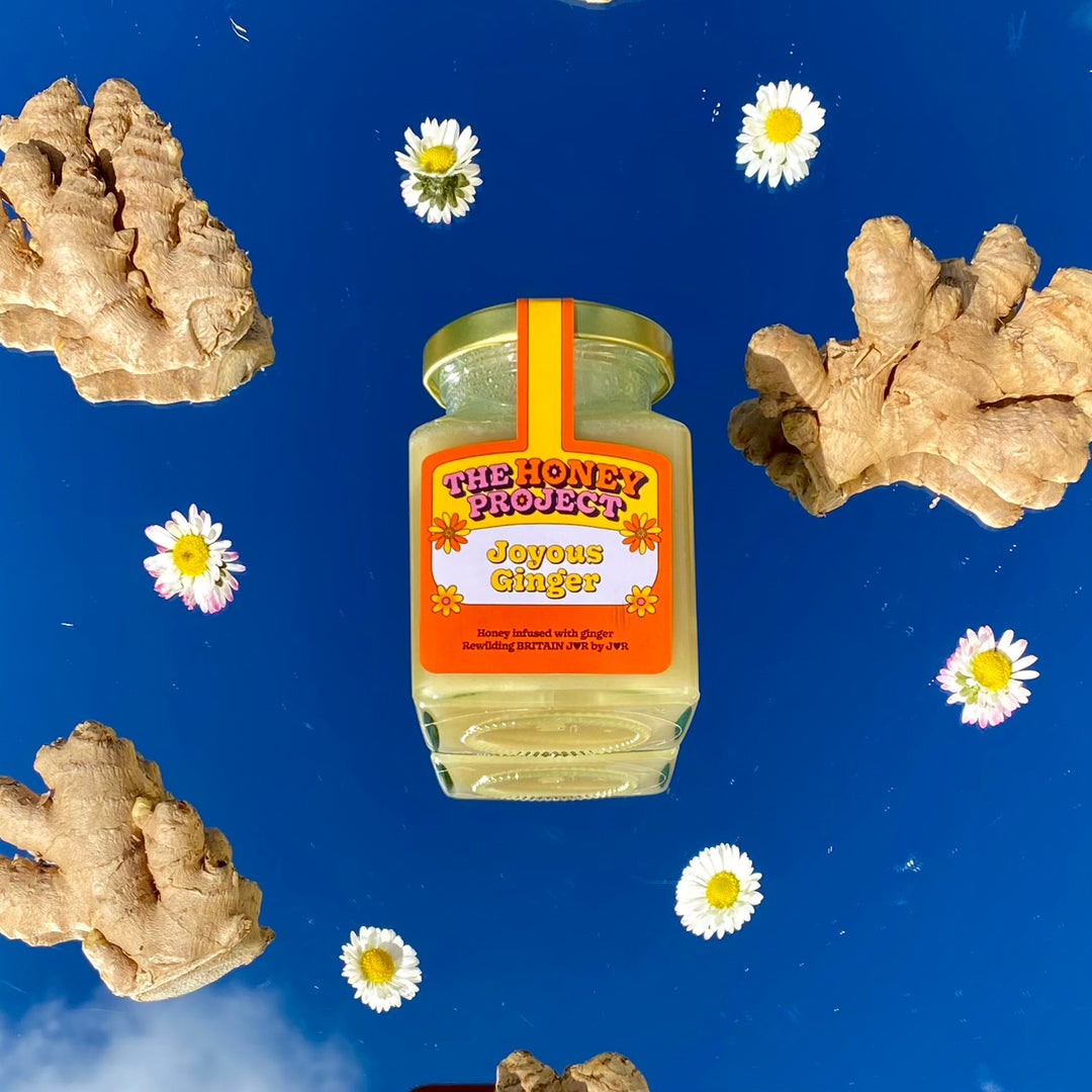 Joyous Ginger Honey