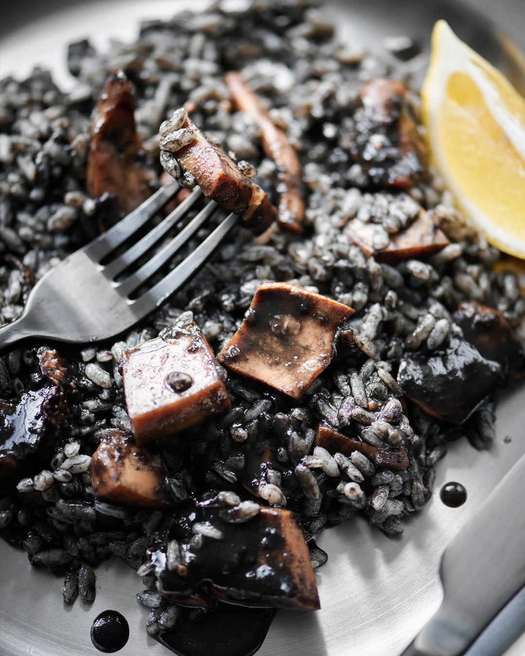 Cuttlefish In Ink 4 Box