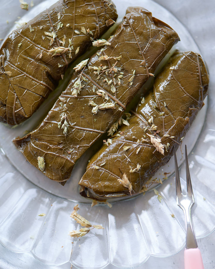 Sardine Dolmades With Pistachio & Dill