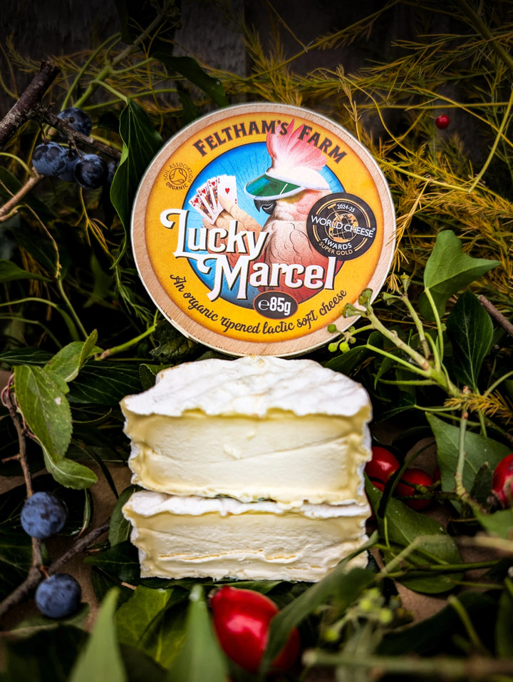 Lucky Marcel Cheese