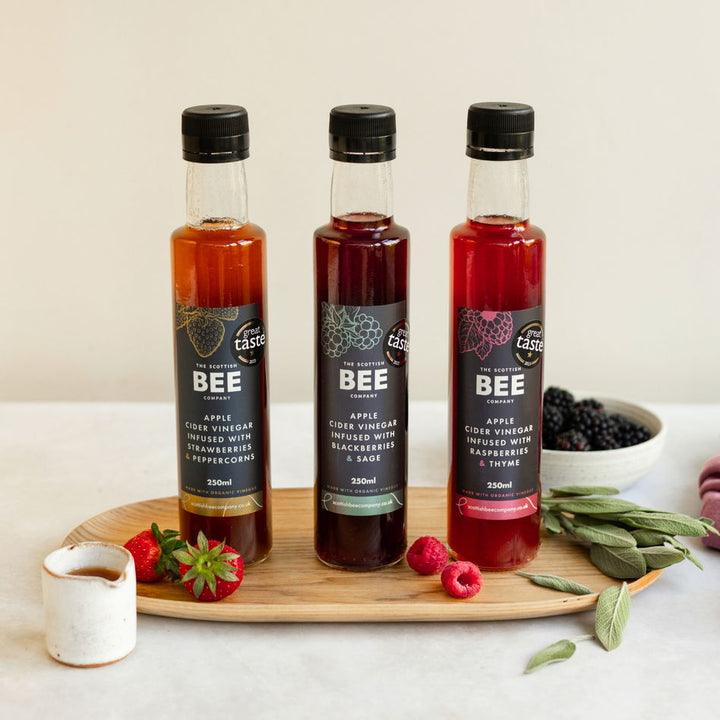 Apple Cider Vinegar Infusion Collection