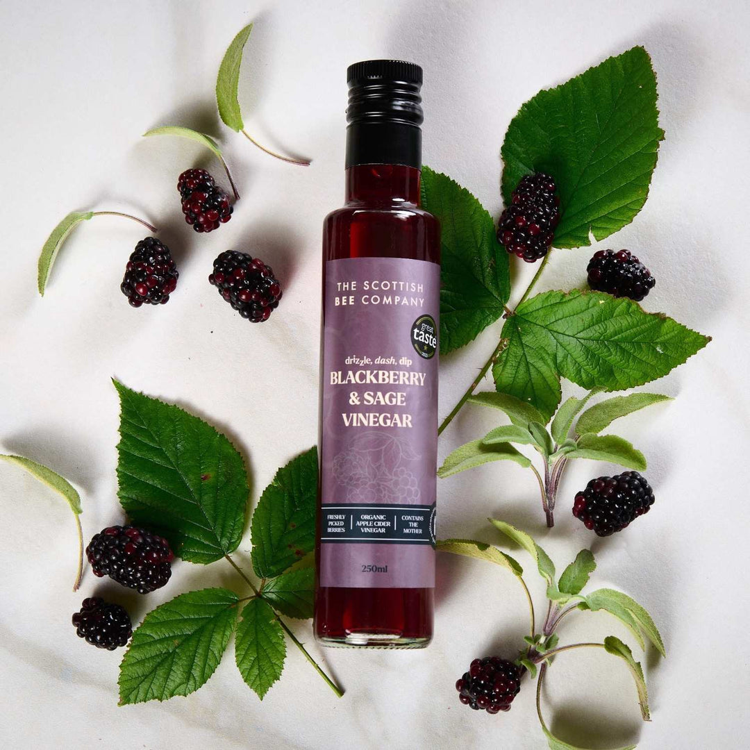 Apple Cider Vinegar Infused With Blackberries and Sage